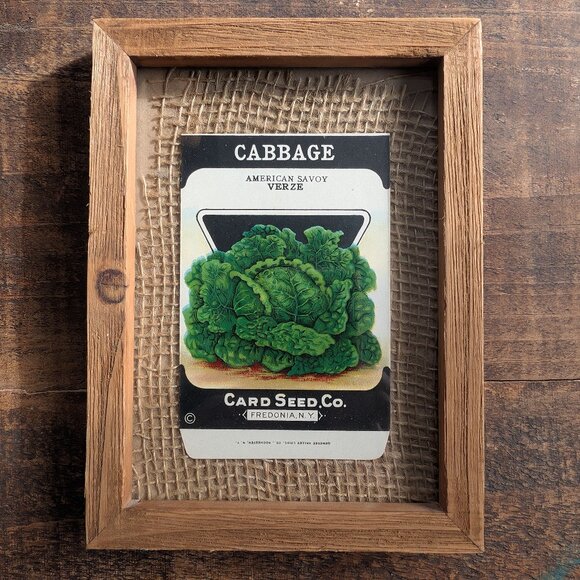 Framed Vintage 1920s Card Seed Co. Packets Set of 3 Burlap Mat Heirloom Cabbages - Picture 4 of 7